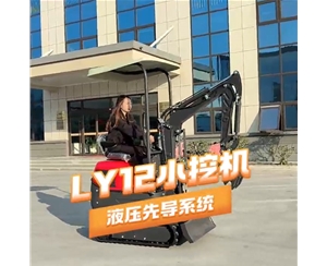 LY12小挖機(jī)使用視頻